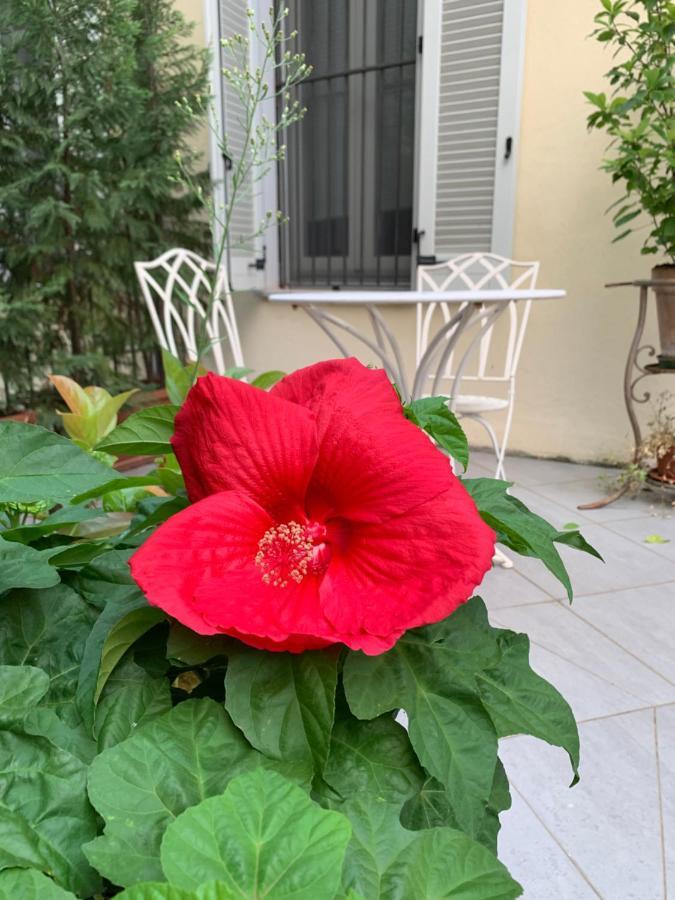 La Terrazza Bed&charme Affittacamere