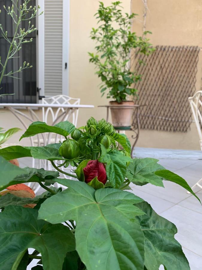 Affittacamere La Terrazza Bed&charme